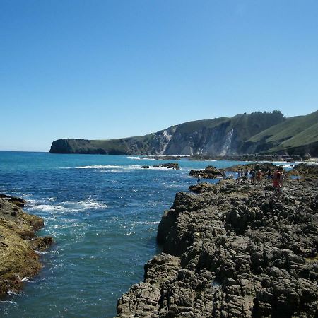 Viviendas De Uso Turistico La Arboleda I Y II Colombres Eksteriør billede