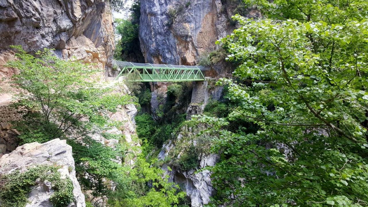 Viviendas De Uso Turistico La Arboleda I Y II Colombres Eksteriør billede