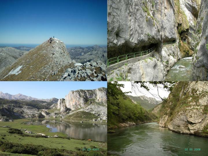 Viviendas De Uso Turistico La Arboleda I Y II Colombres Eksteriør billede